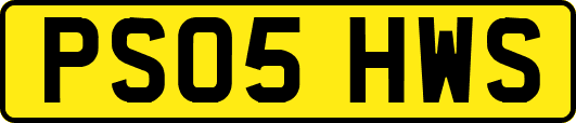 PS05HWS