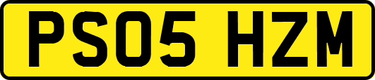 PS05HZM