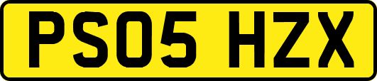 PS05HZX