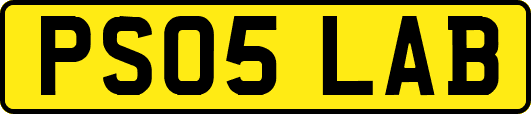 PS05LAB