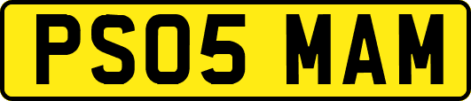 PS05MAM