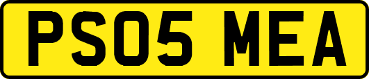 PS05MEA