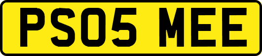 PS05MEE