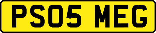PS05MEG