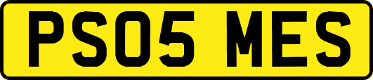 PS05MES