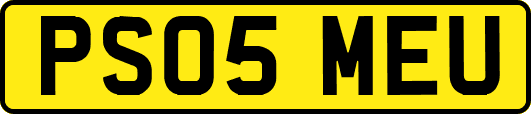PS05MEU
