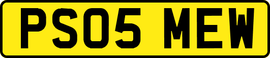 PS05MEW