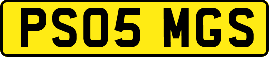 PS05MGS