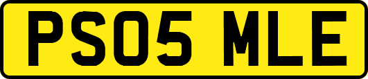 PS05MLE