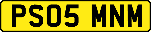 PS05MNM