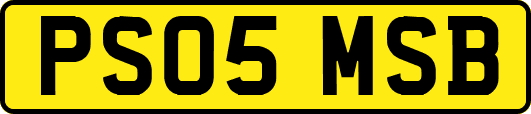 PS05MSB