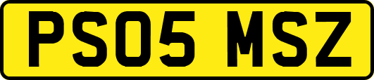 PS05MSZ