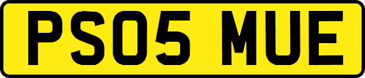 PS05MUE