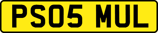 PS05MUL