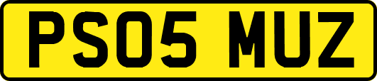 PS05MUZ
