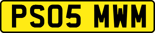 PS05MWM
