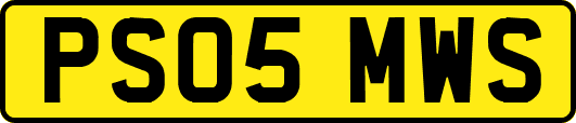 PS05MWS