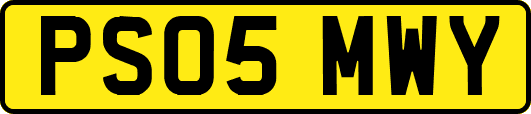 PS05MWY