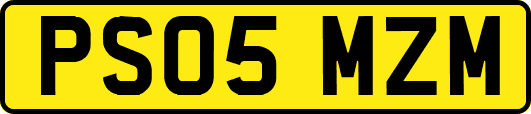 PS05MZM