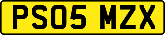 PS05MZX