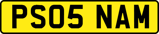 PS05NAM