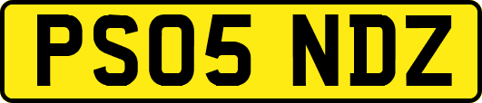 PS05NDZ