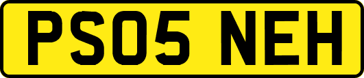 PS05NEH