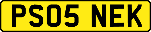 PS05NEK