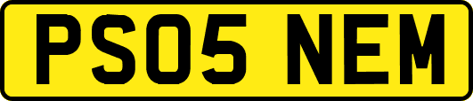 PS05NEM