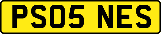 PS05NES