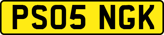 PS05NGK