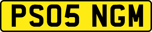PS05NGM