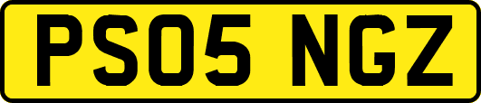 PS05NGZ