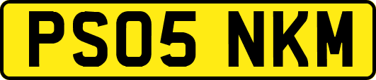 PS05NKM
