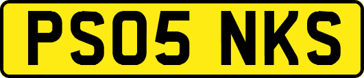 PS05NKS
