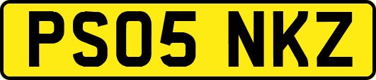 PS05NKZ