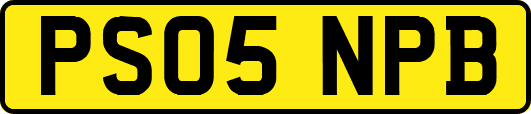 PS05NPB