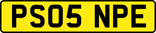 PS05NPE