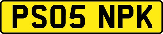 PS05NPK