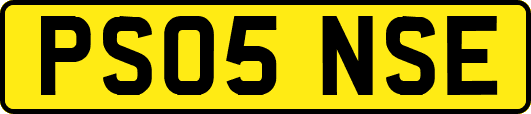 PS05NSE
