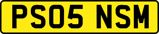 PS05NSM