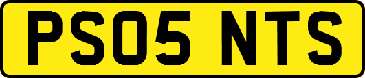PS05NTS