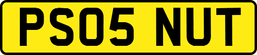 PS05NUT