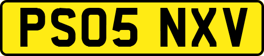 PS05NXV