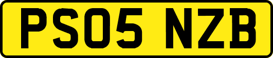 PS05NZB