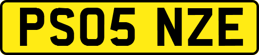 PS05NZE