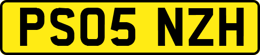 PS05NZH