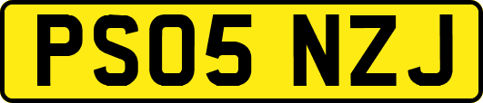 PS05NZJ