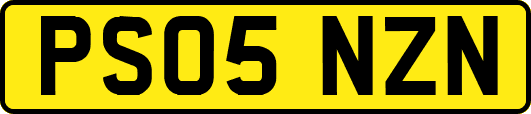 PS05NZN