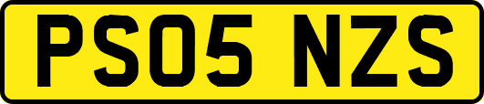 PS05NZS